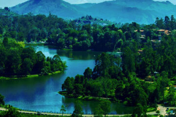 kodaikanal-wild-wises-tour-thumbnail-image