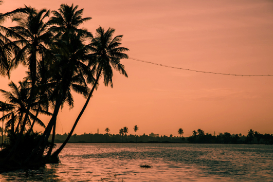 Alleppey