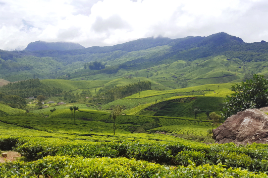 Munnar