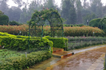 kodaikanal park tour Thumbnail Image